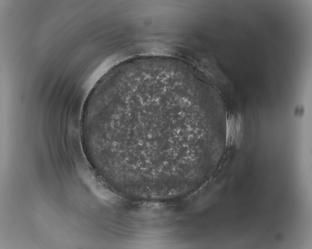 X0000114160195200911051512