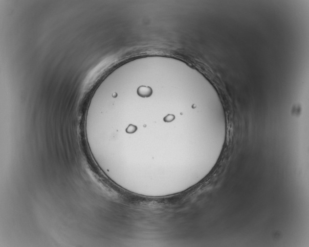 X0000114160197200911051512