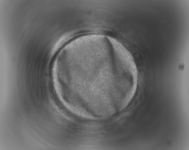 X0000114160198200911051512