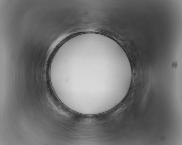 X0000114160200200911051512