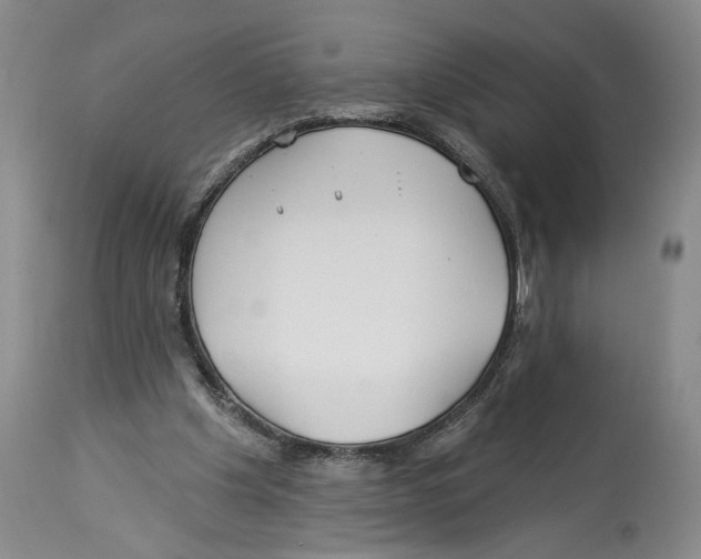X0000114160201200911051512