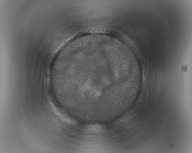 X0000114160202200911051512