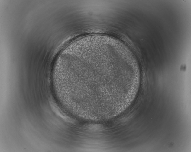 X0000114160203200911051512