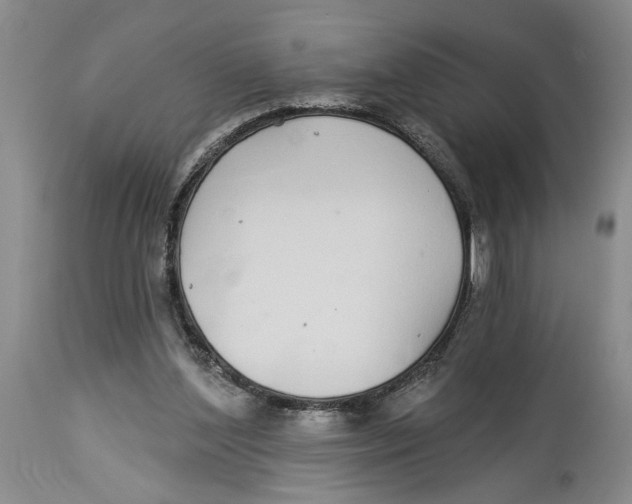 X0000114160204200911051512