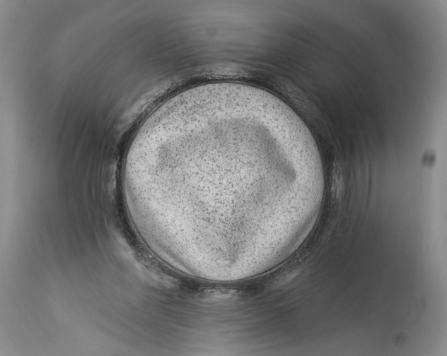 X0000114160206200911051512
