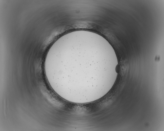 X0000114160207200911051512