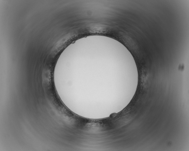X0000114160211200911051512