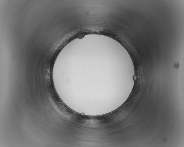 X0000114160212200911051512