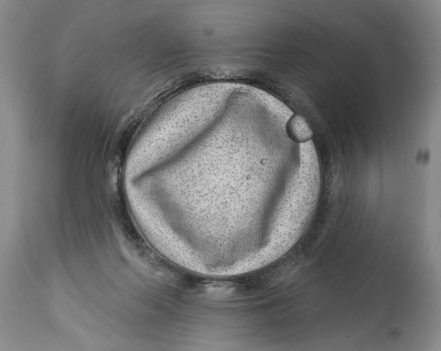 X0000114160214200911051512