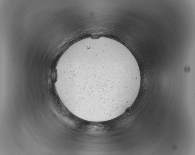 X0000114160215200911051512