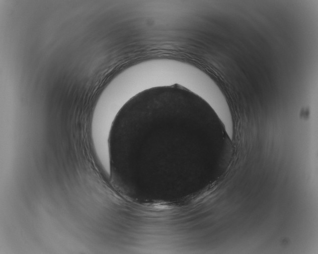 X0000114160219200911051512