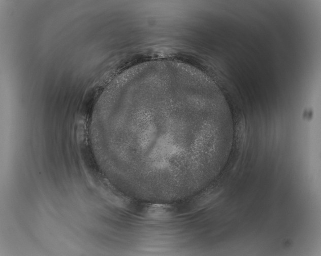 X0000114160222200911051512