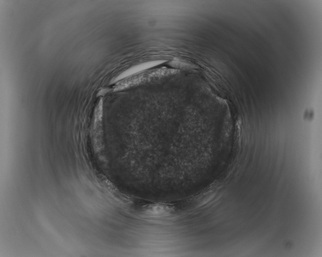 X0000114160223200911051512