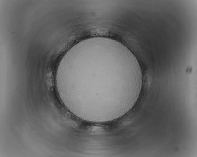 X0000114160224200911051512