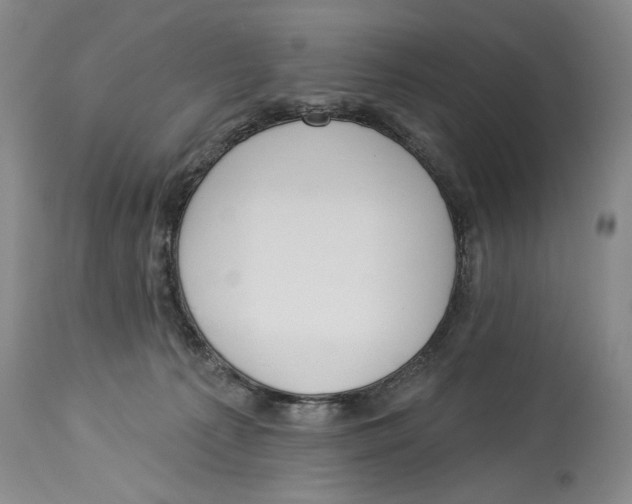 X0000114160225200911051512