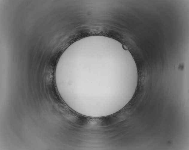 X0000114160226200911051512