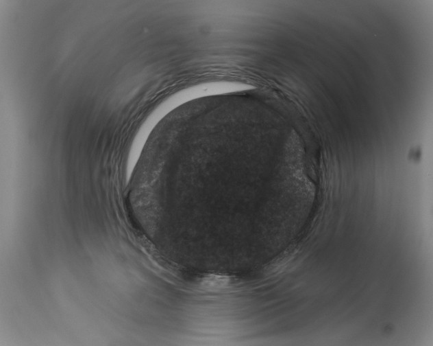 X0000114160227200911051512
