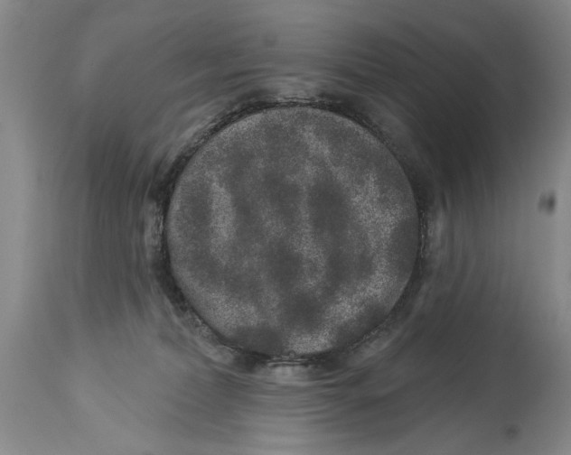 X0000114160228200911051512
