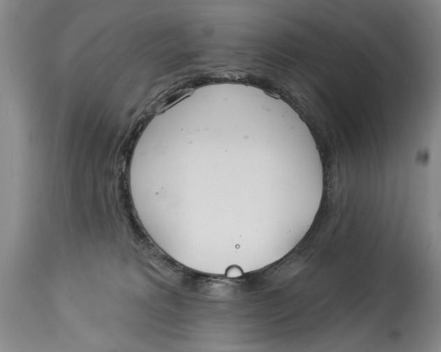 X0000114160229200911051512
