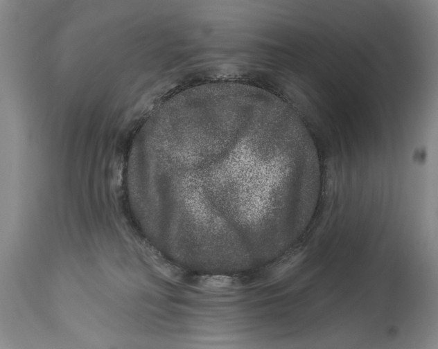 X0000114160230200911051512