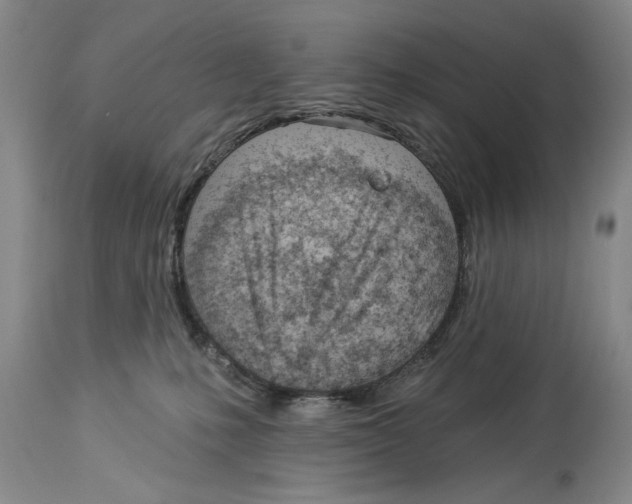 X0000114160231200911051512