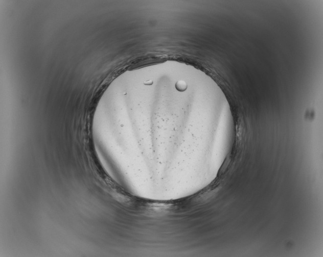 X0000114160233200911051512