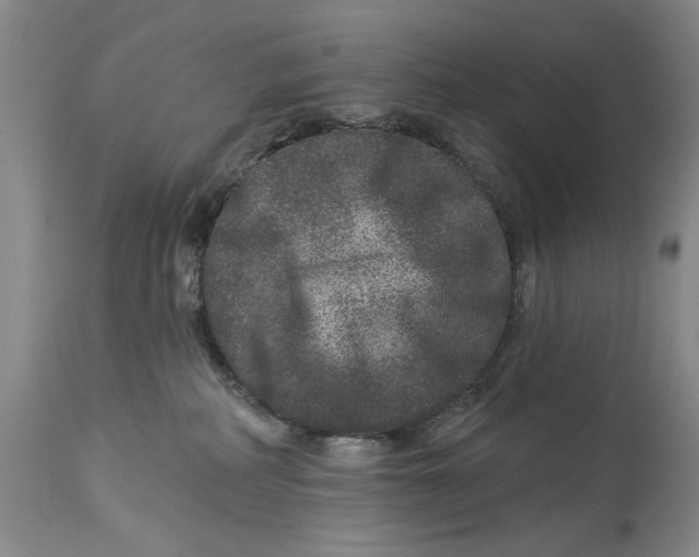 X0000114160234200911051512