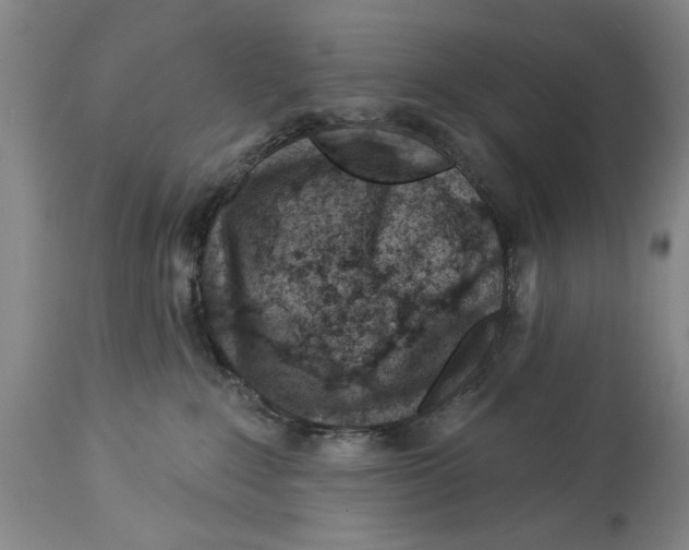 X0000114160235200911051512