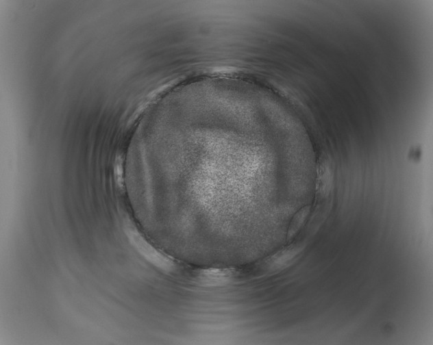 X0000114160238200911051512