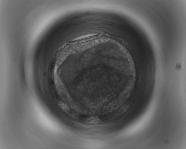 X0000114160239200911051512