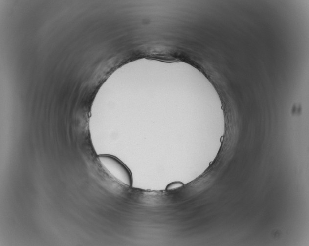X0000114160240200911051512