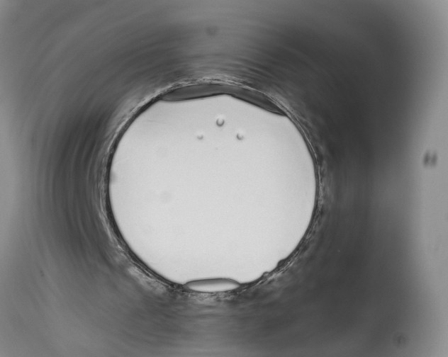 X0000114160241200911051511