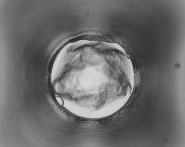 X0000114160243200911051511