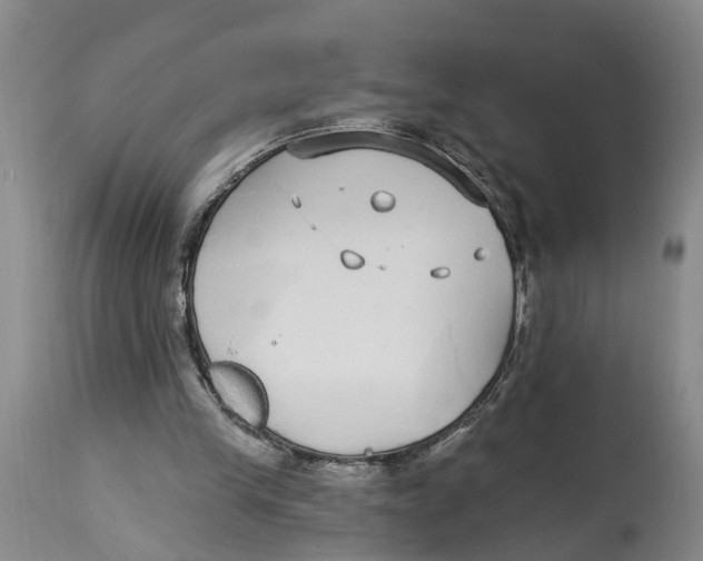 X0000114160245200911051511