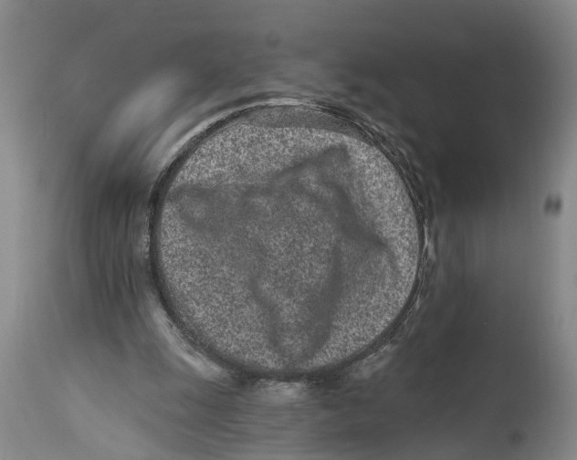 X0000114160247200911051511
