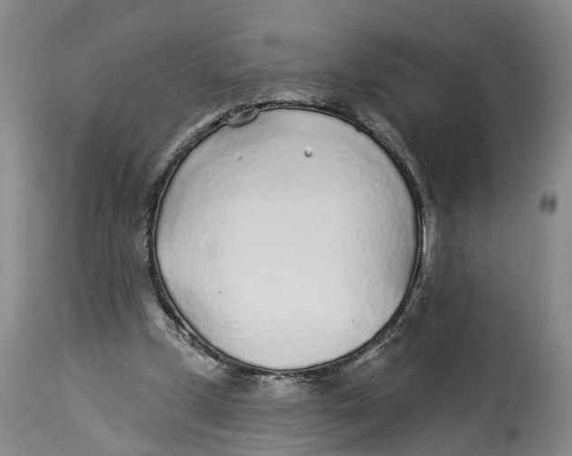 X0000114160249200911051511