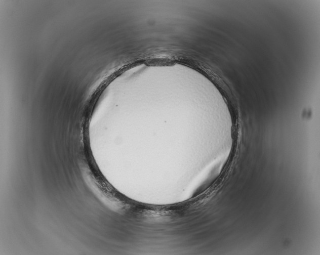 X0000114160250200911051511