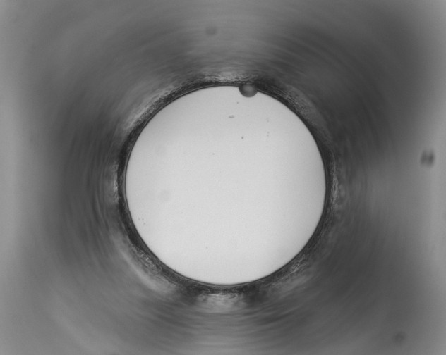X0000114160251200911051511