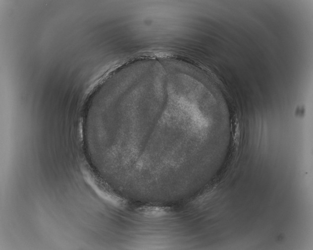 X0000114160254200911051511