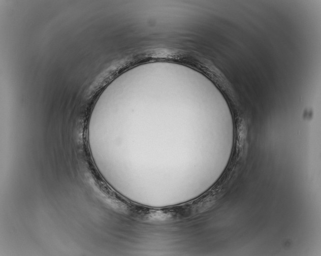 X0000114160257200911051511