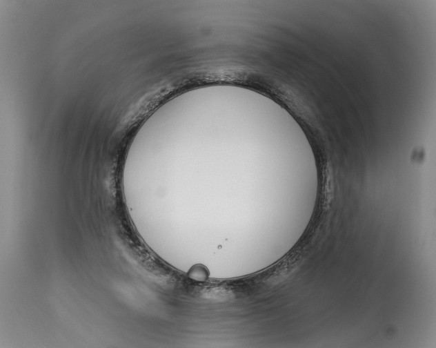 X0000114160258200911051511