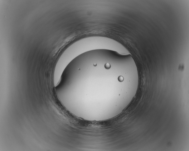 X0000114160260200911051511