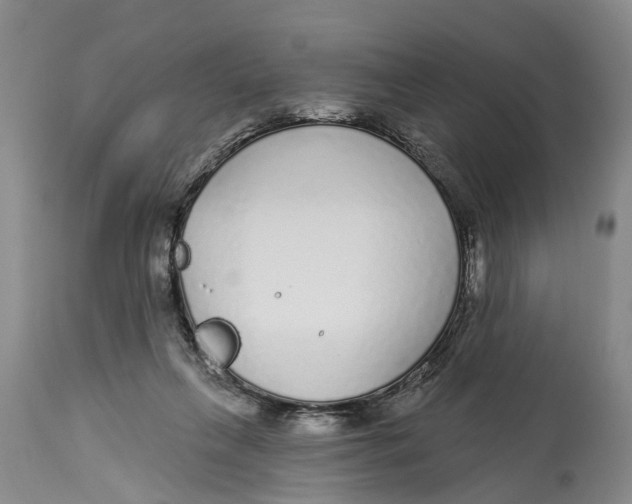 X0000114160263200911051511