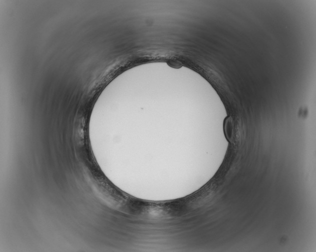 X0000114160264200911051511