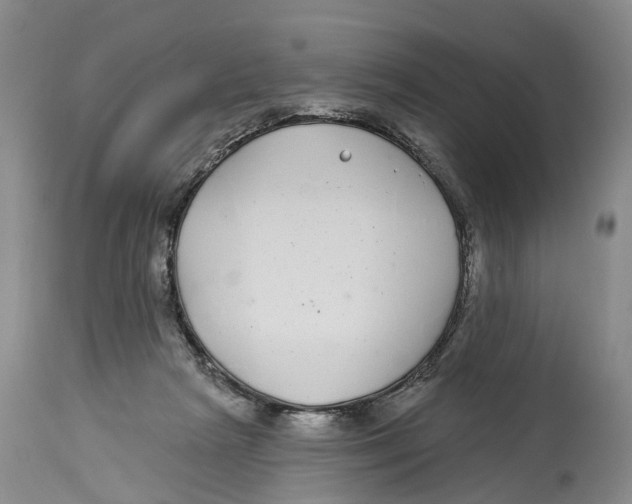 X0000114160265200911051511
