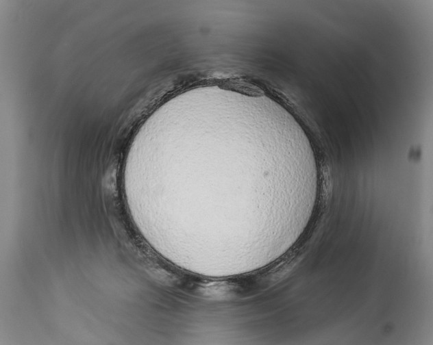 X0000114160269200911051511