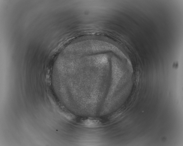 X0000114160270200911051511