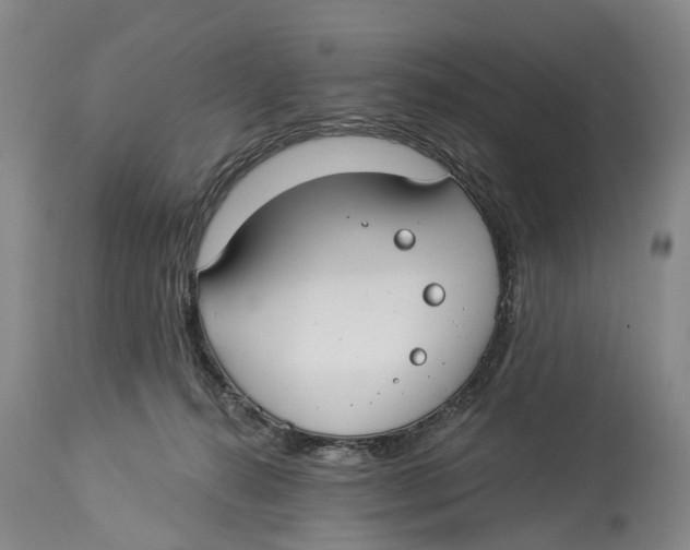 X0000114160272200911051512