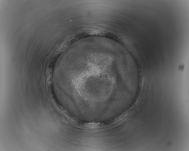 X0000114160273200911051512