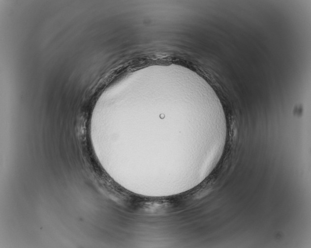 X0000114160274200911051512